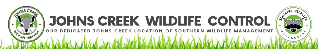 Johns Creek Wildlife Trapping Header